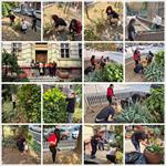 Практична настава - Пејзажна архитектура